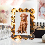 picture frame jilli