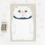Scratch Pad Notepad Jilli Boutique N021 