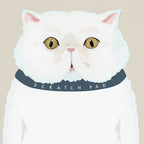 Scratch Pad Notepad Jilli Boutique Cat Dear Hancock