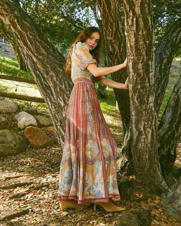 Liliosa Washed Chiffon Dress Hale Bob Jilli Boutique Maxi 