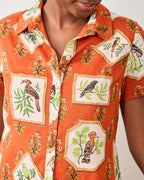 gracie dress printfresh jilli boutique