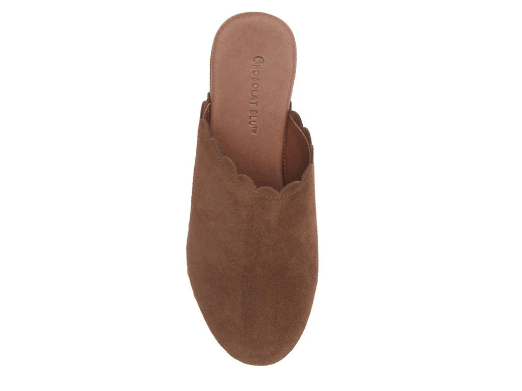 Gemini Suede Clog Shoe Chocolate Suede Chocolat Blue Clogs Jilli Boutique