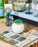 Golf Match Striker tart by taylor jilli Green Matches